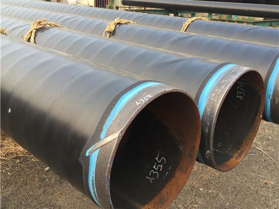 3PE好色先生TV下载安卓